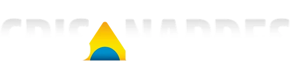 Cris Nardes — Deputada Distrital